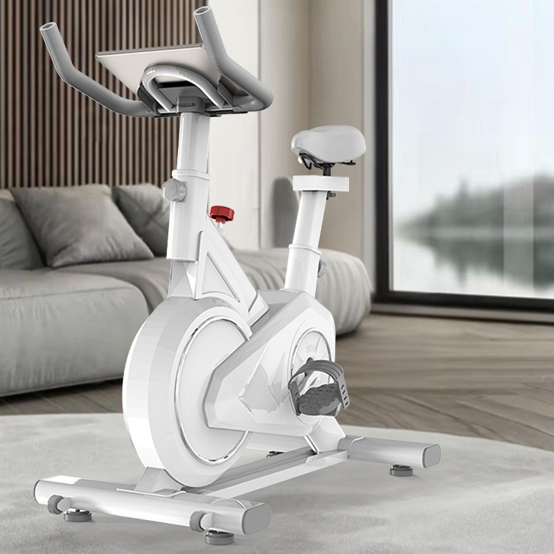 Intelligentes Spinning Bike Ho – Exercise Bike Magnetic Resistance Bewertung und Preis